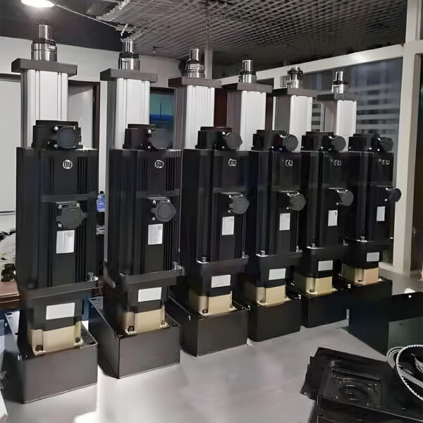 250 Series Custom Electric Cylinder 30T Servo Actuator (1)